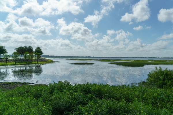 Lake Tohopekaliga (Lake Toho)